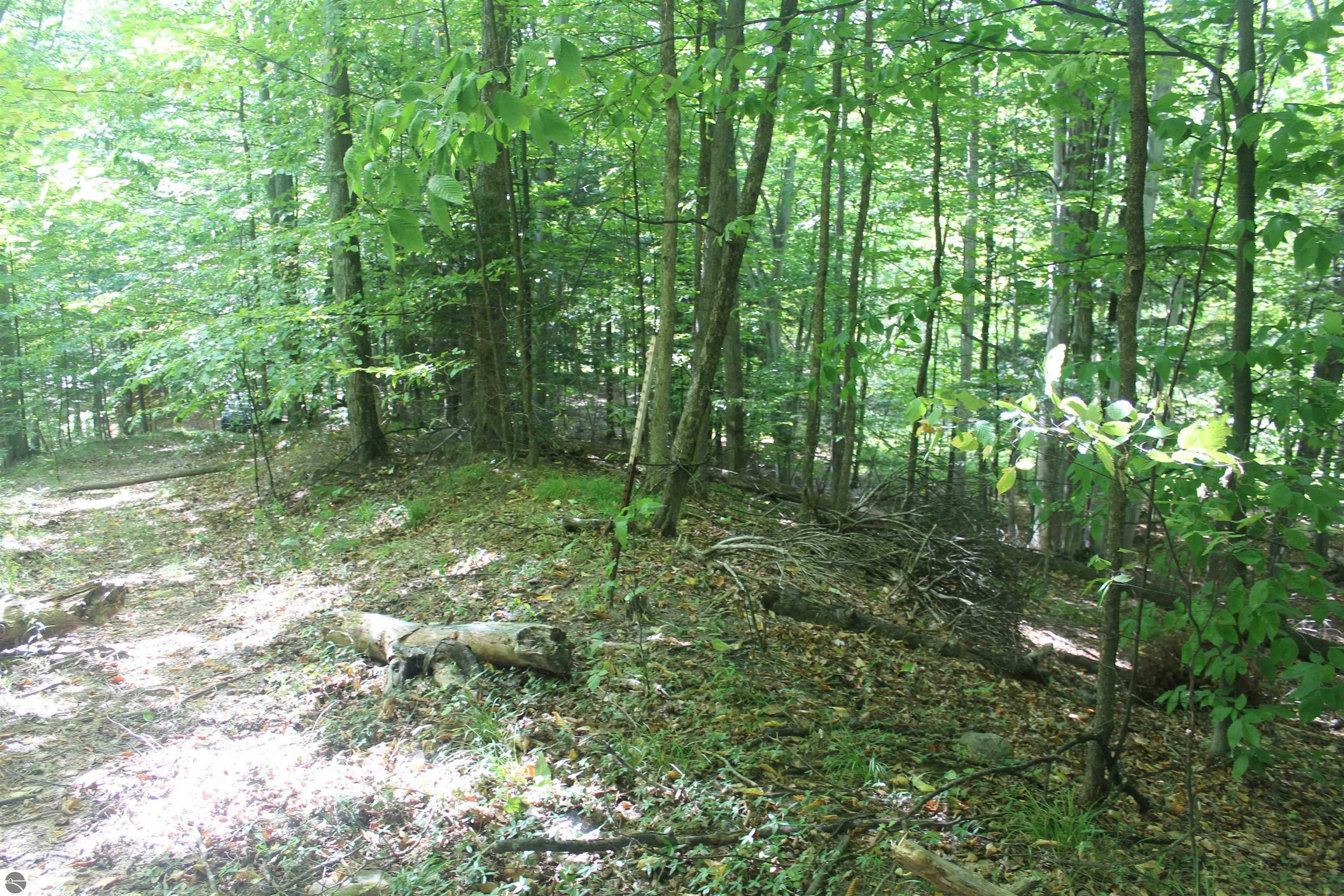 Property Photo: 000 Harbor Beach Drive MI 49676