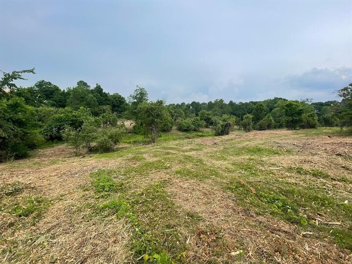 Property Photo: 67 Christian Hill Road NH 03031