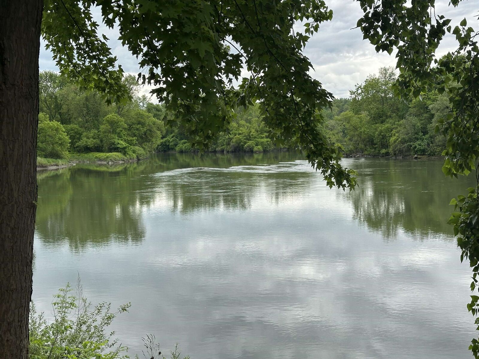 Property Photo:  60 Winooski Falls Way  VT 05404 