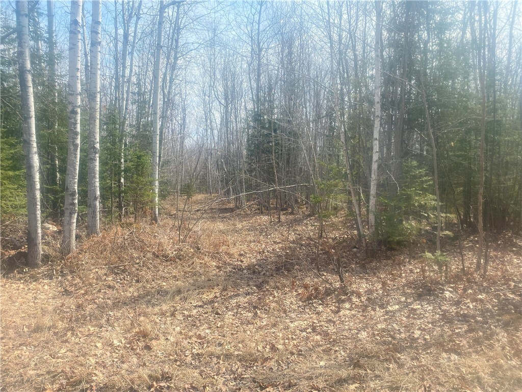 Property Photo: Tbd Old 13 Rd WI 54844