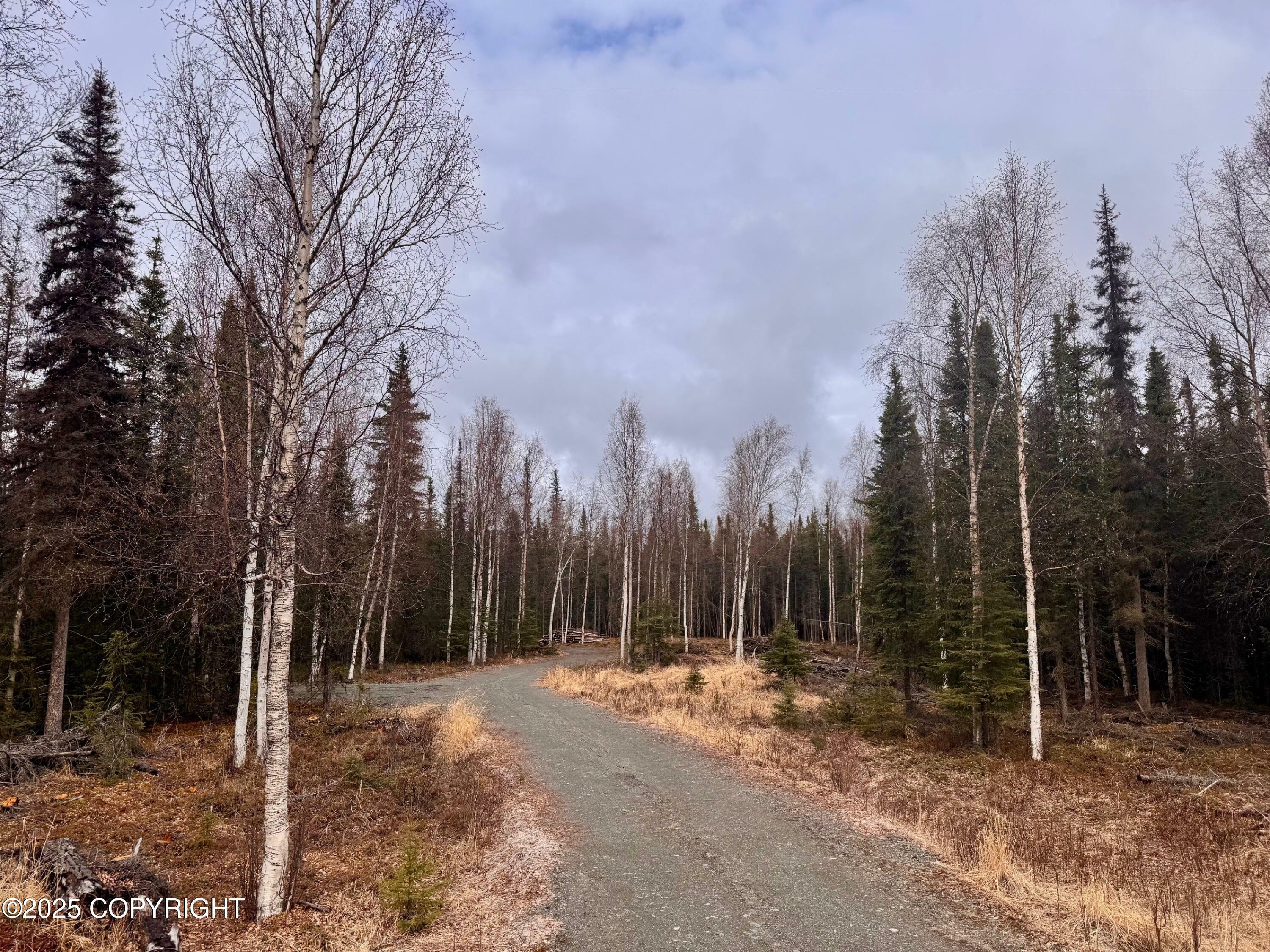 Property Photo: 39204 Flatstone Avenue AK 99669