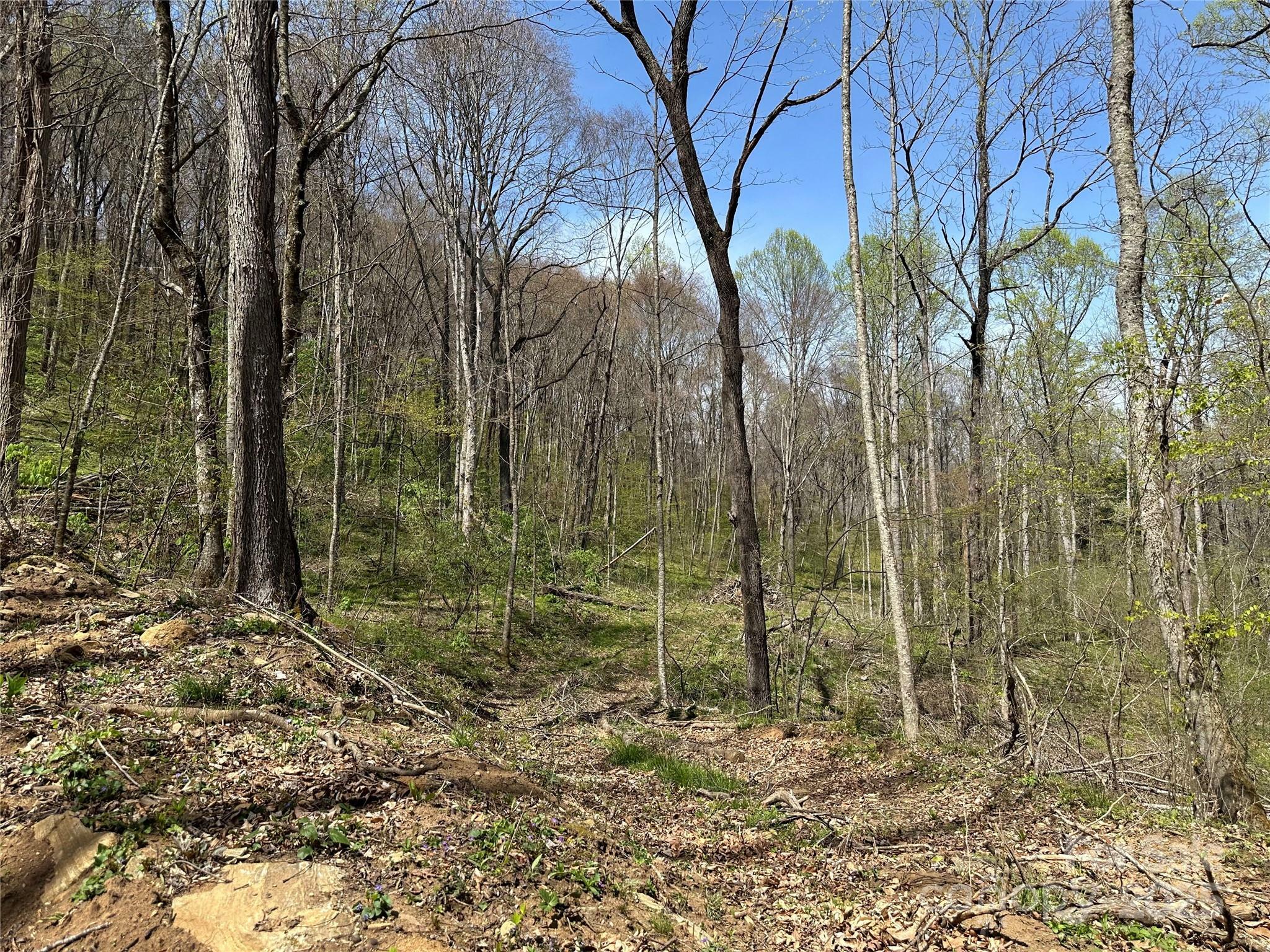 Property Photo:  Tbd Sequoyah Drive  NC 28785 