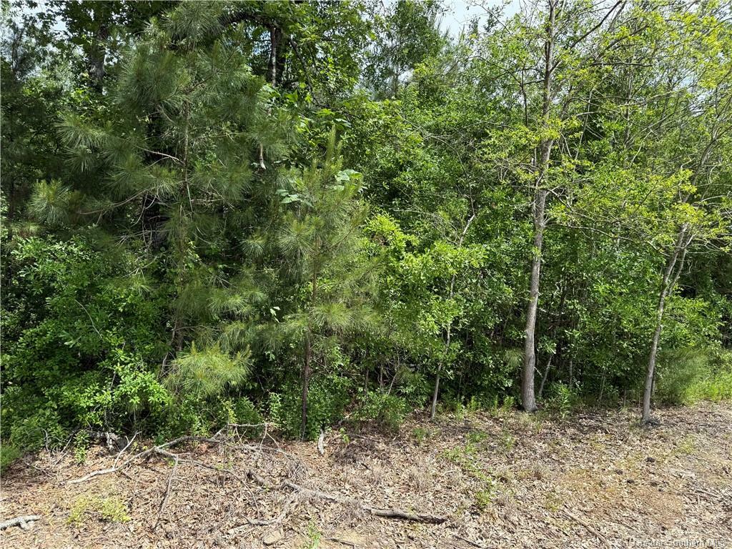 Property Photo: 0 White Oak Street LA 70668