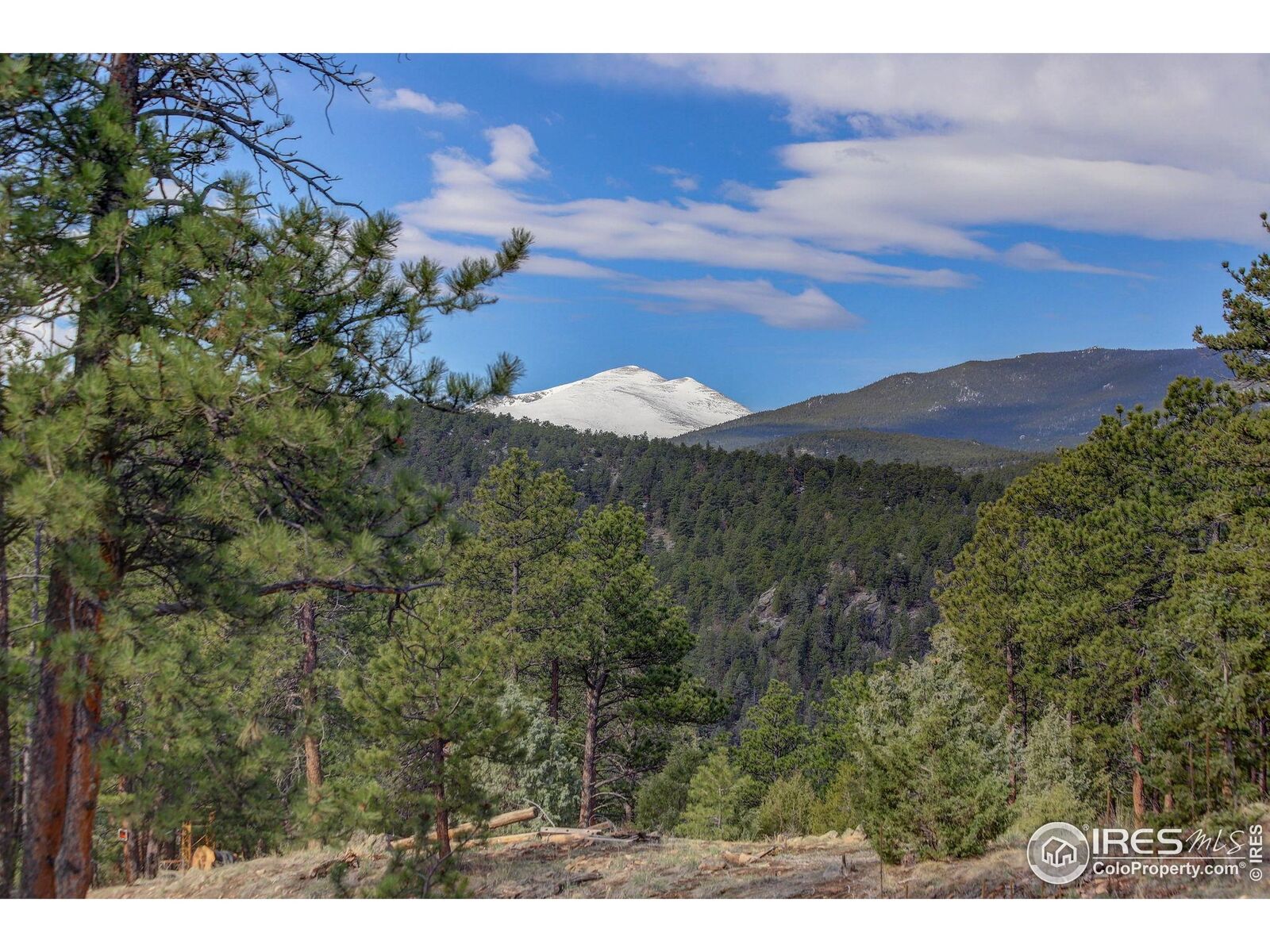 Property Photo:  0 Cedar Dr  CO 80540 