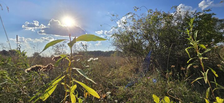 Property Photo: 8692 E Baseline Road MI 48858