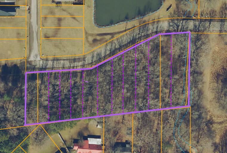 Property Photo: Tract 6 Richman Drive MS 38834