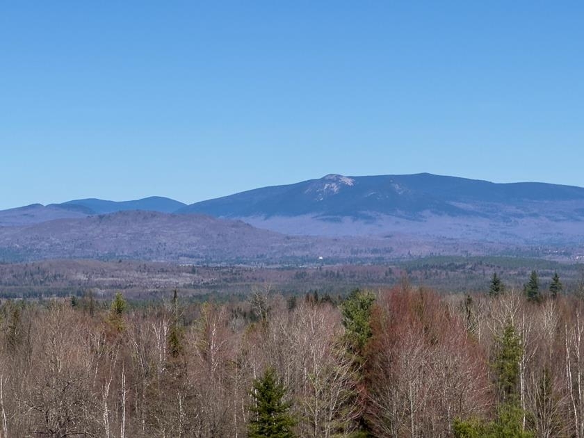 Property Photo: Lot 12 &Amp 13 Fellows Road VT 05905