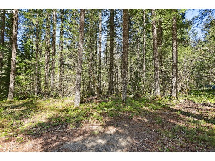 Foster Rd  Carson WA 98610 photo