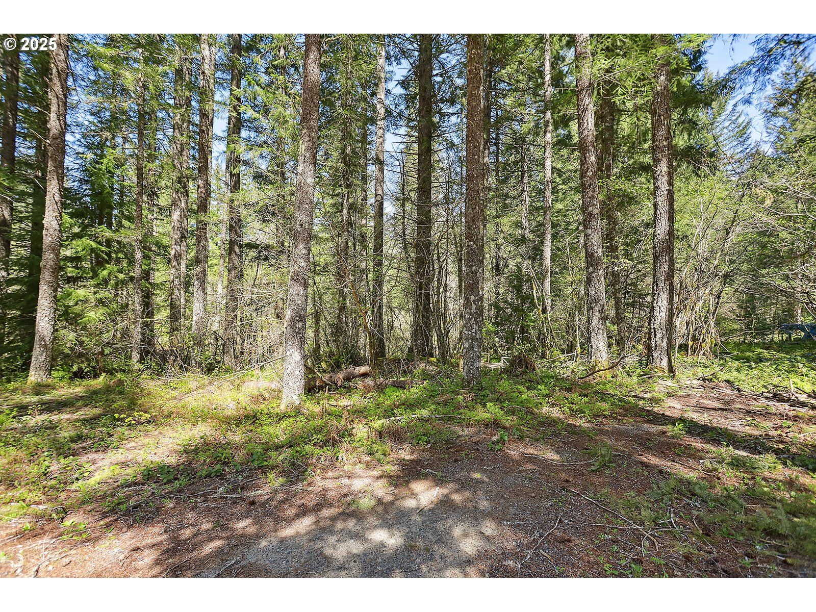 Property Photo: Foster Rd WA 98610