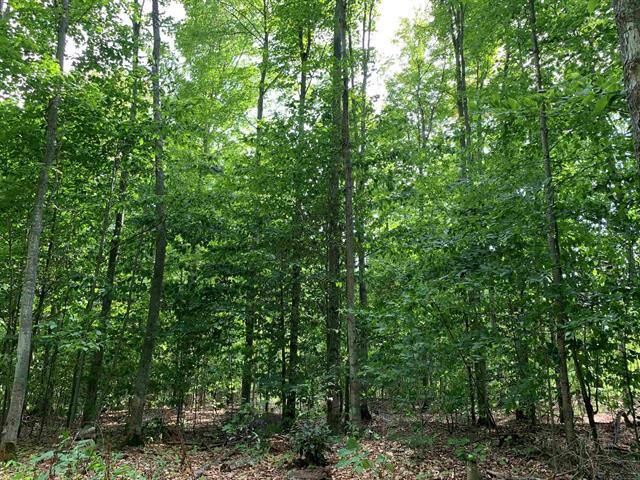 Property Photo:  00 Keiser Road  MI 49755 