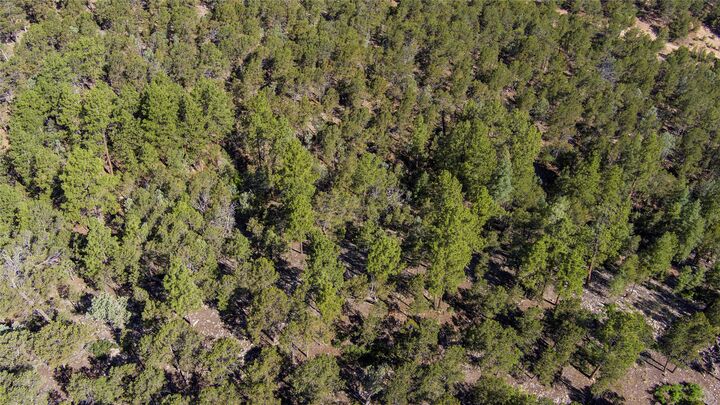 Property Photo: Lot 20 Dancing Hawk Drive NM 87552