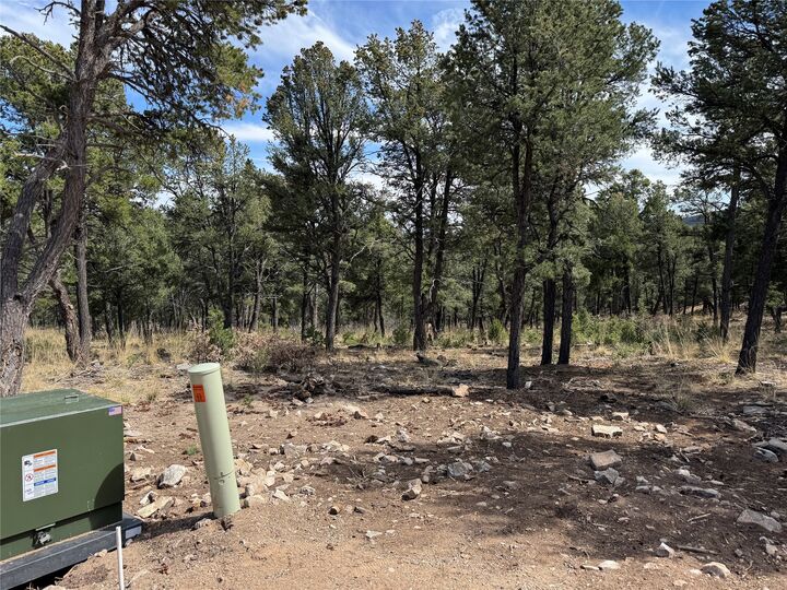 Property Photo: Lot 26 Birds Of A Feather NM 87552
