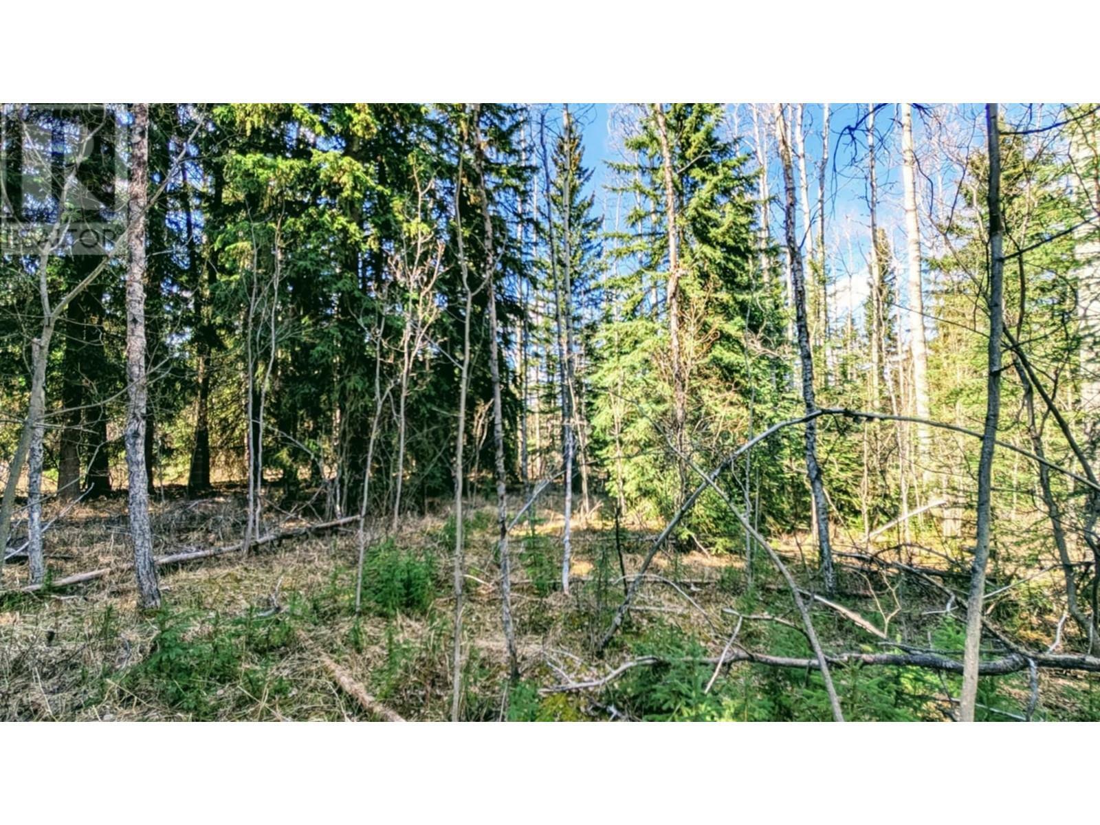 Property Photo:  319 Ludlom Road Lot  BC V0K 1X3 