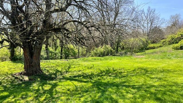Property Photo: 2825 Ky Hwy 590 KY 40484