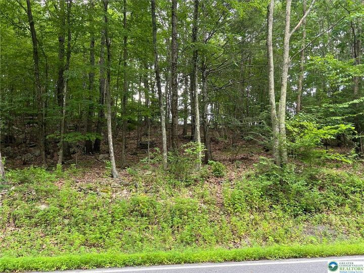 Property Photo: 31 Faber Circle PA 18372