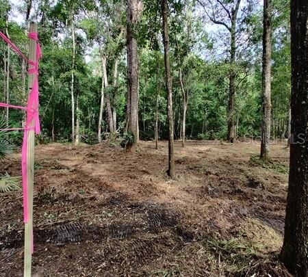 Property Photo:  5212 NW 19th Street  FL 32653 