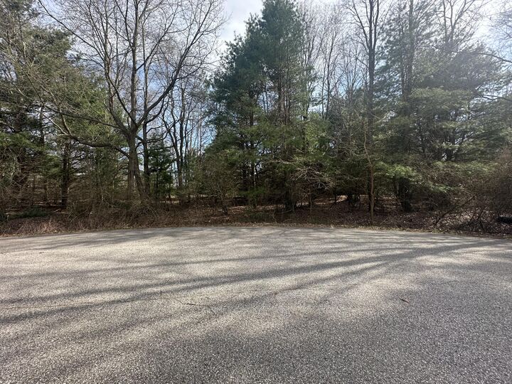 Property Photo: V/L-4 White Pine Drive MI 49420