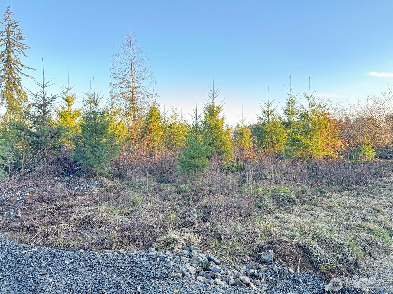 Property Photo: 378 Hawkins Road WA 98565