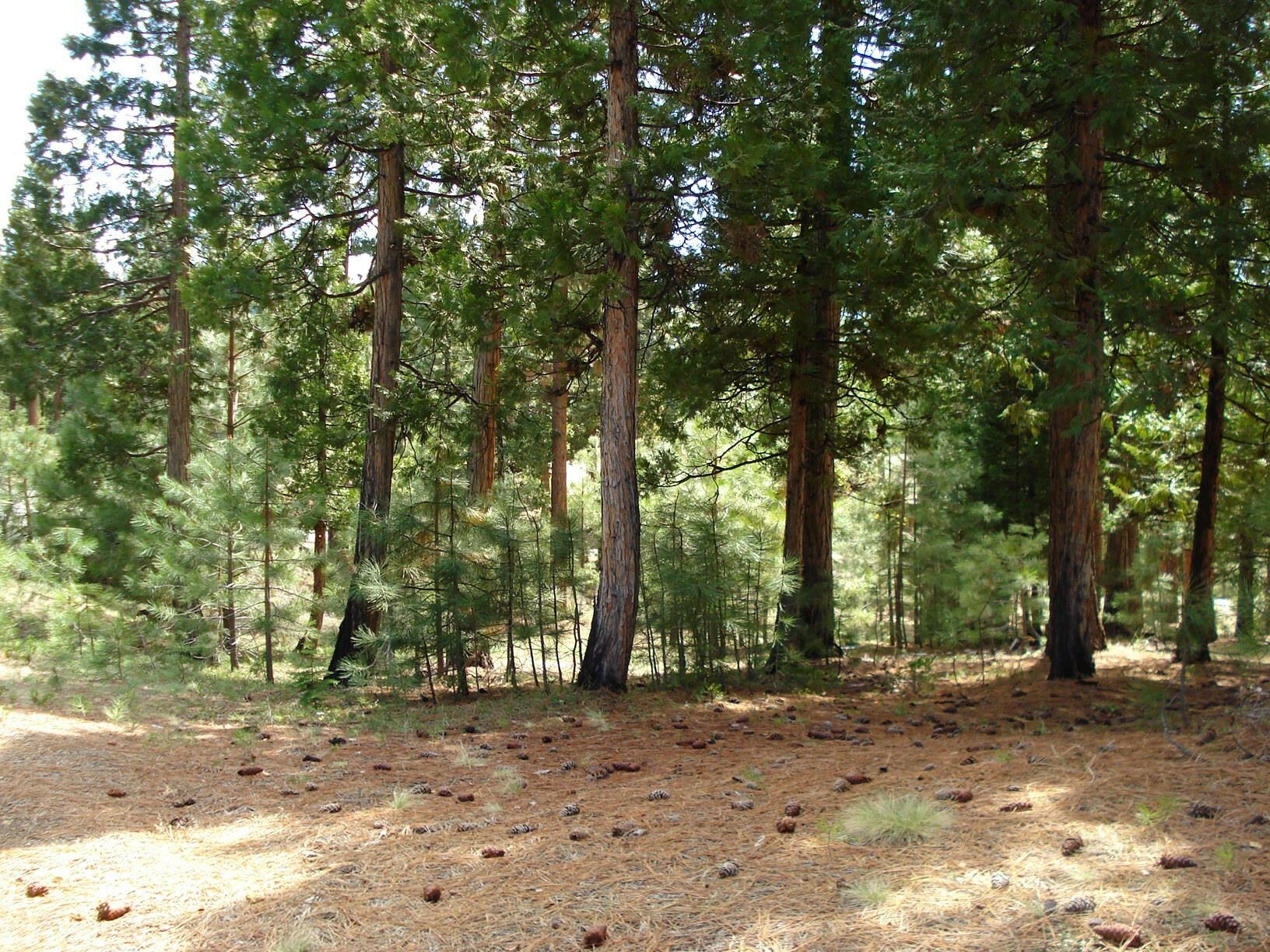 Property Photo: 745 Blacktail Ridge CA 96122