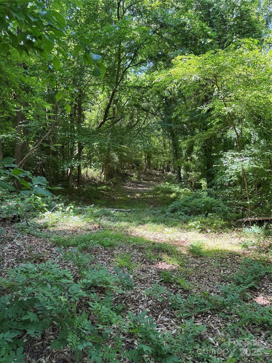 Property Photo: 11341 Mooresville Road NC 28036