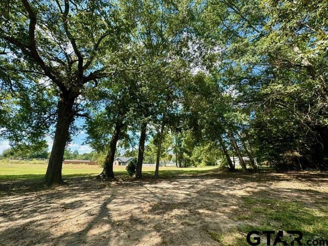 Property Photo: Tbd Loye Ln TX 75765
