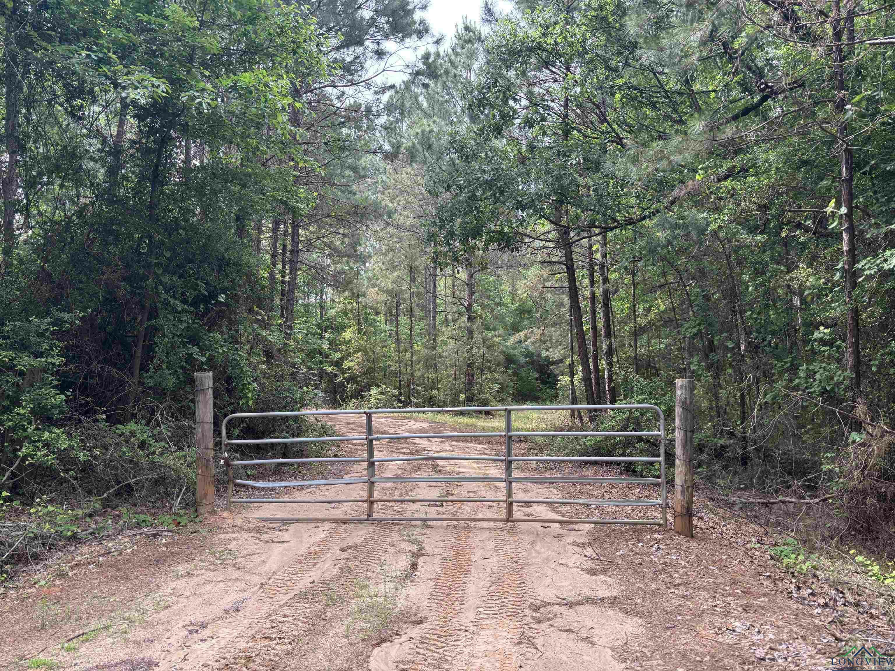Property Photo: Private Road TX 75669
