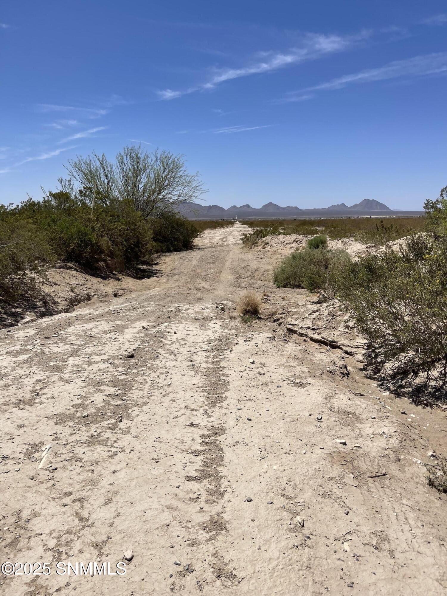 Property Photo:  9345 Rabbit Run Road  NM 88012 