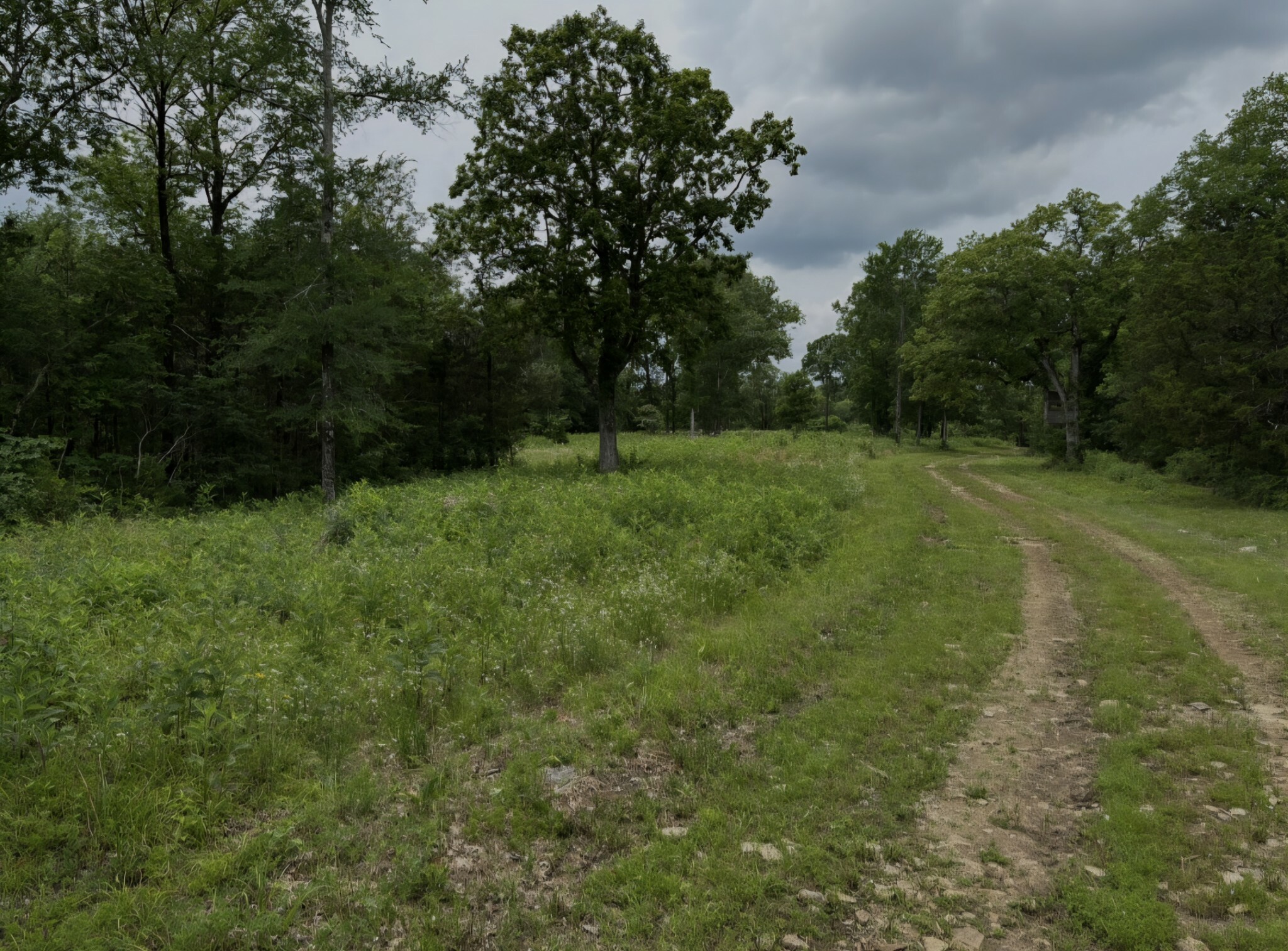 Property Photo: 2971 Ownby Rd TN 37091