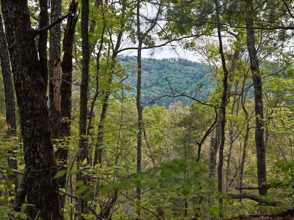 Property Photo: Lot 20 Crabapple Lane GA 30559