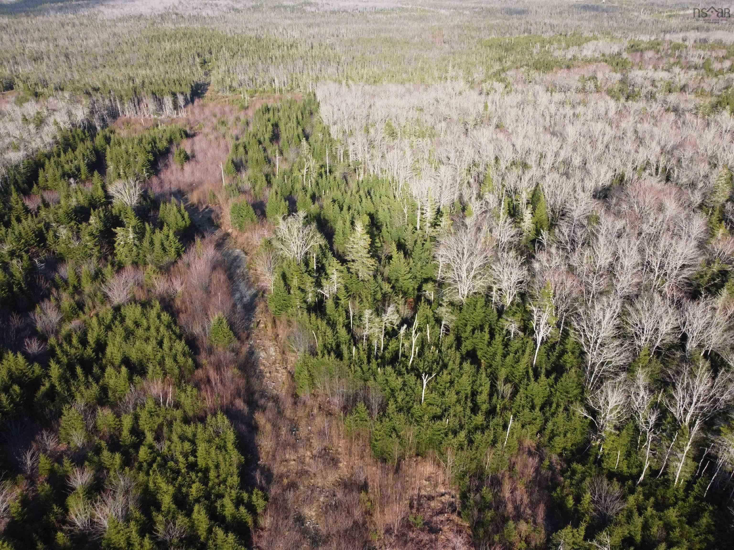 Lot 22 & 23 Trafalgar Rd Highway 374  Sheet Harbour NS B0J 3B0 photo
