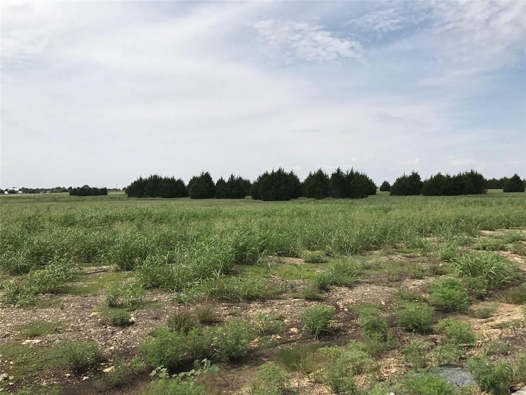 Property Photo:  1310 Carroll Moran Trail  TX 76065 