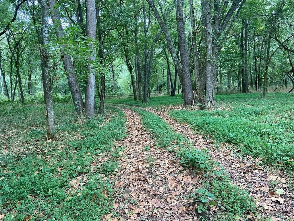 Property Photo: 377 Madison 5116 AR 72727