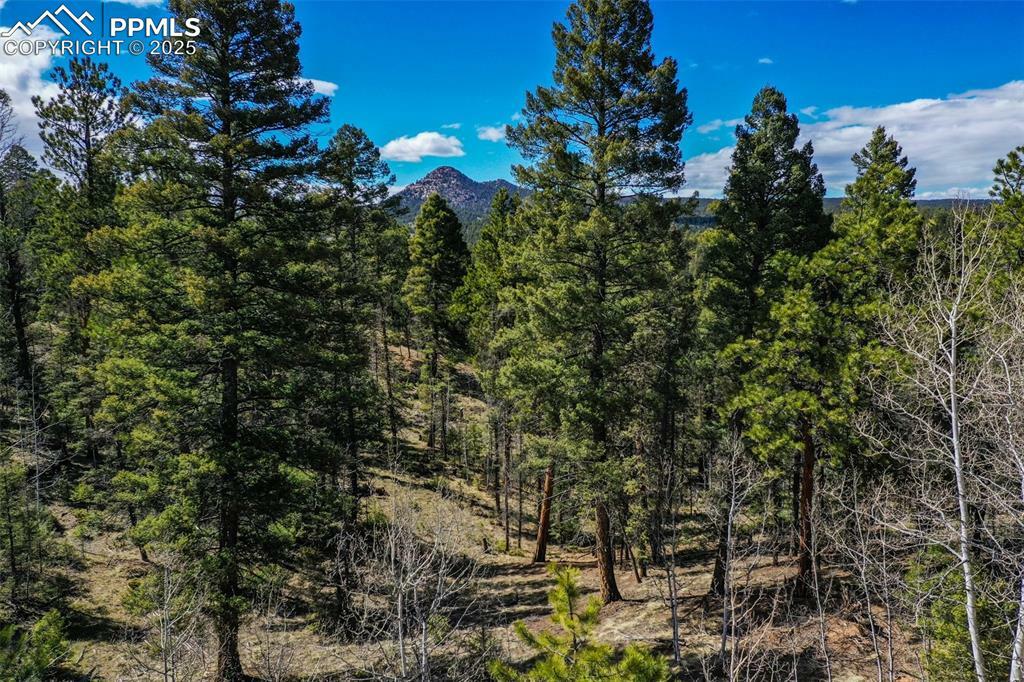 Property Photo: 360 Tejon Creek Trail CO 80816