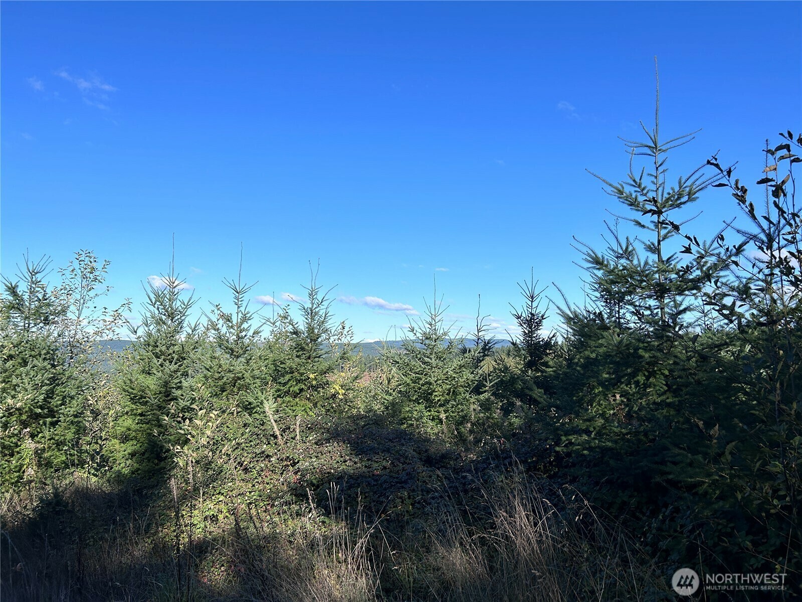 Property Photo: 0 Nka Mt Brynion Road WA 98626