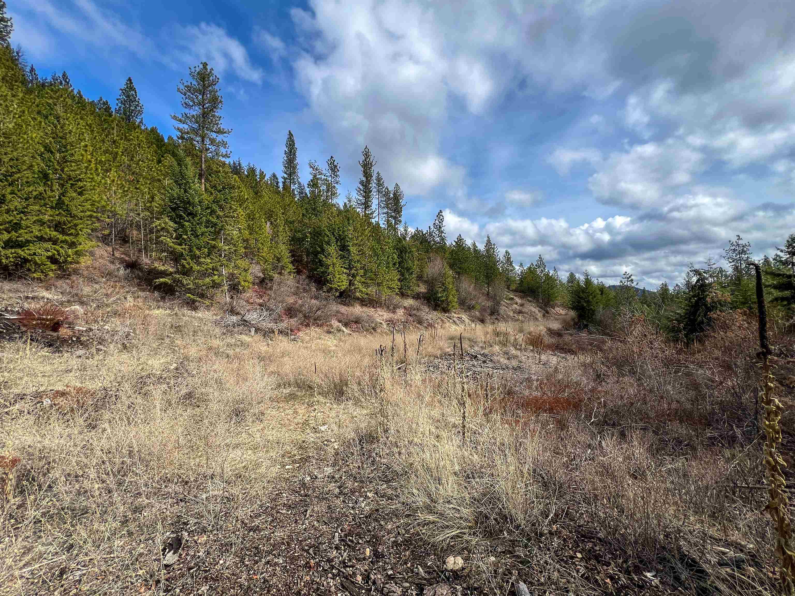 Property Photo: 352X Greene Rd WA 99181