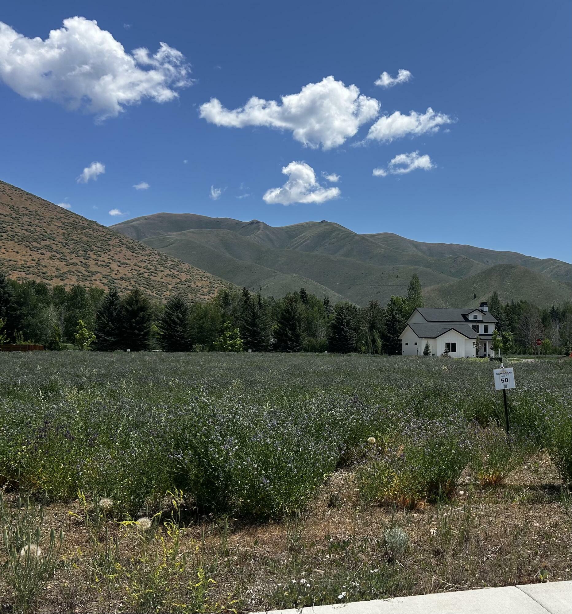 Property Photo:  Tbd San Badger Or Eclipse Dr  ID 83333 