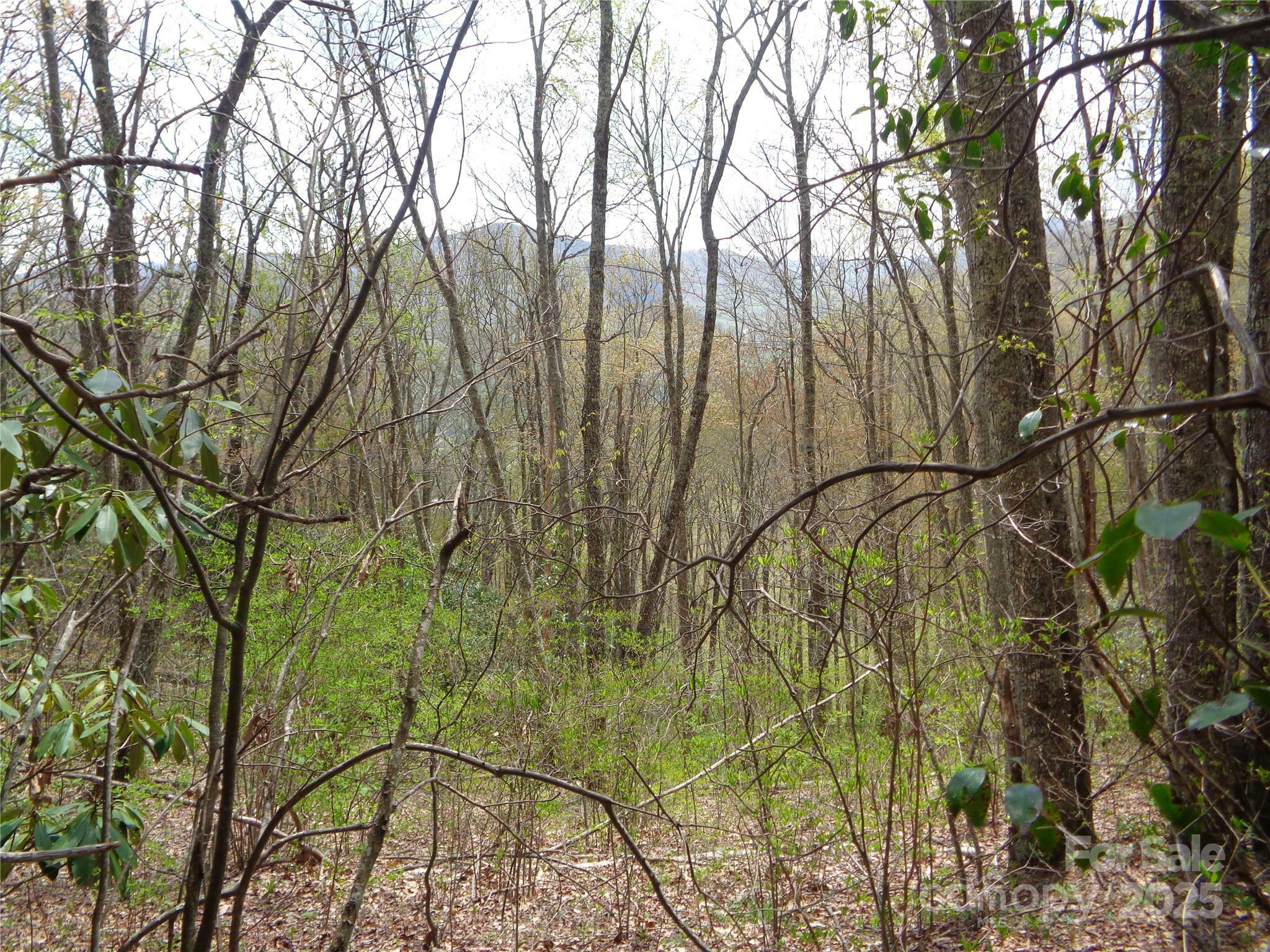 Property Photo:  00 Bent Tree Road  NC 28751 