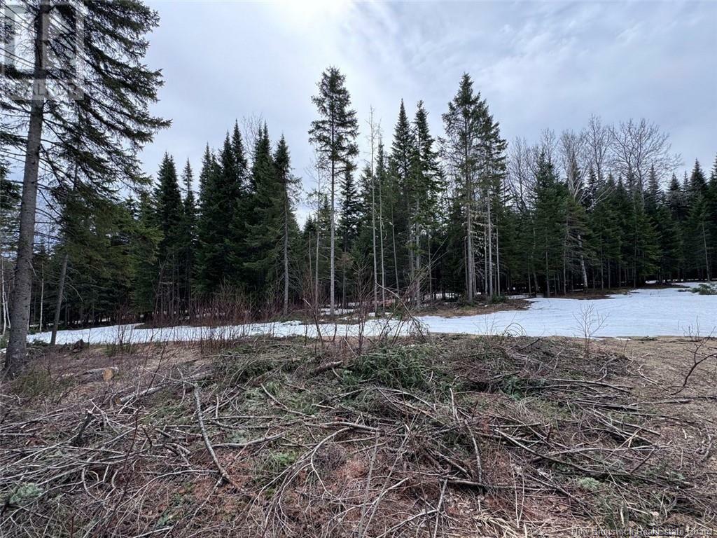 Property Photo:  Lot 36 Road  NB E8A 2M5 