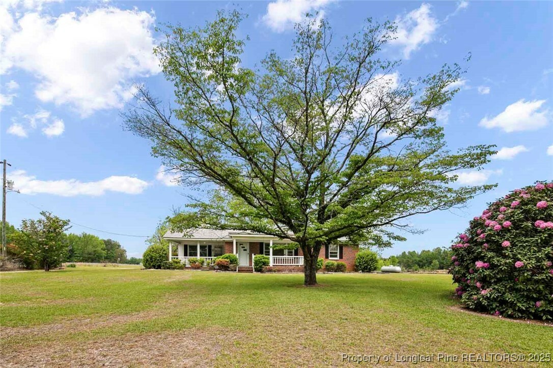1445 Bethel Baptist Road  Spring Lake NC 28390 photo