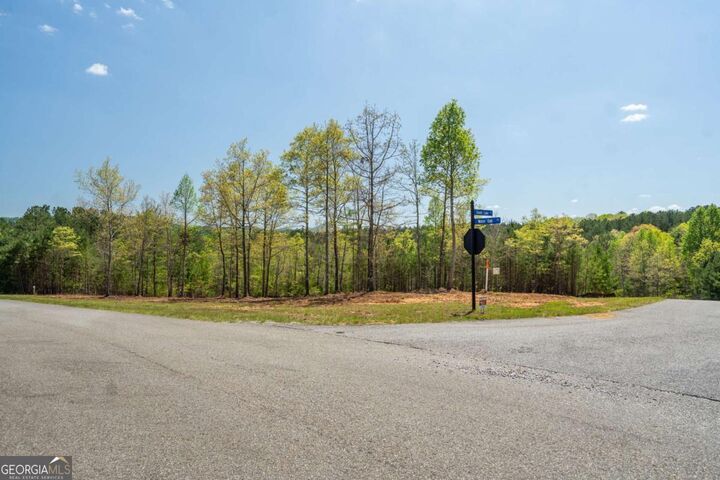 Property Photo: Lot 41 Sandy Lake Lane GA 30512
