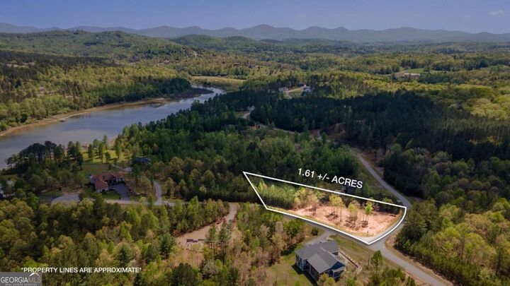 Property Photo:  Lot 41 Sandy Lake Lane  GA 30512 