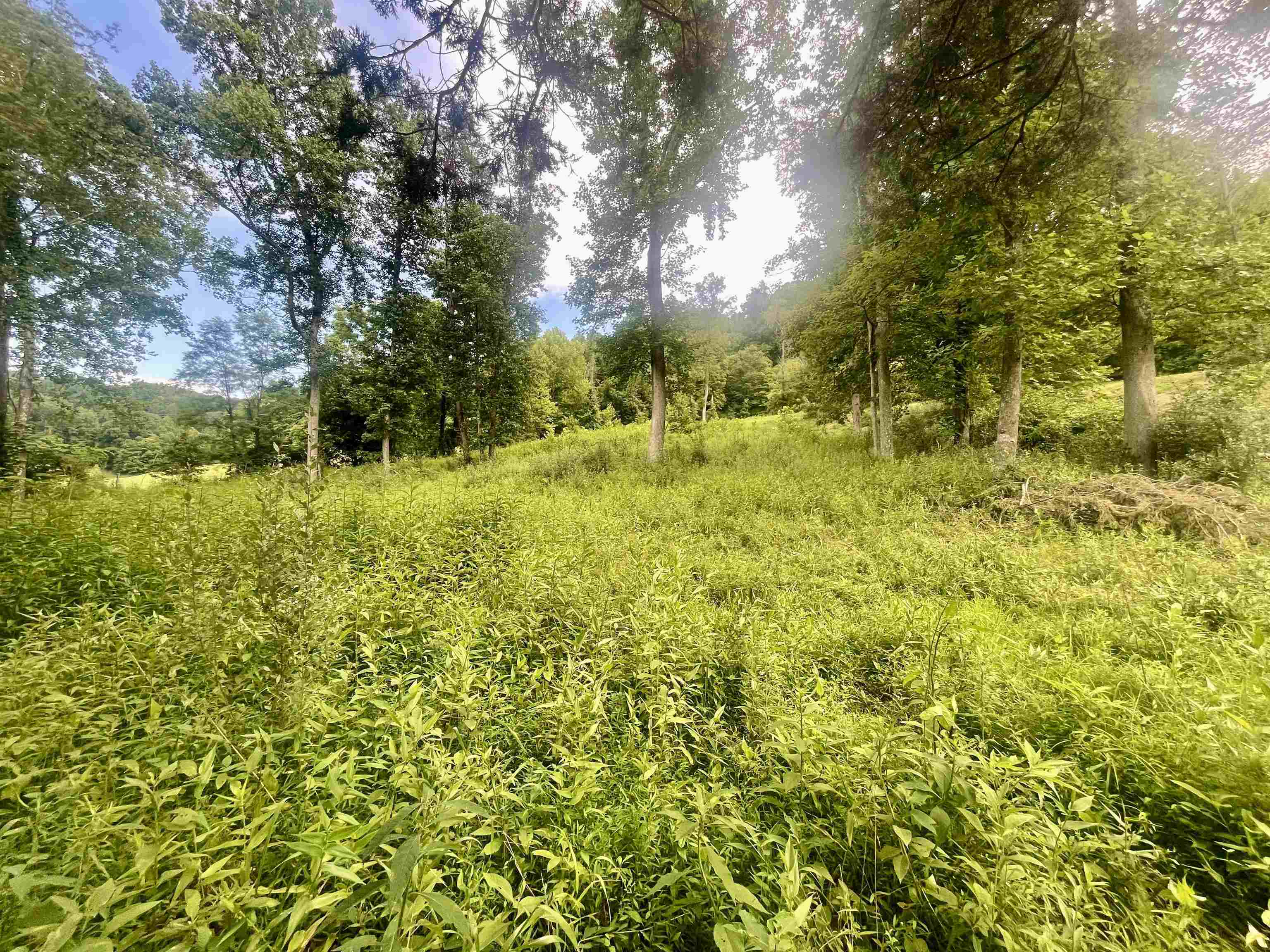 Property Photo: 0 Malcolm Road WV 25504