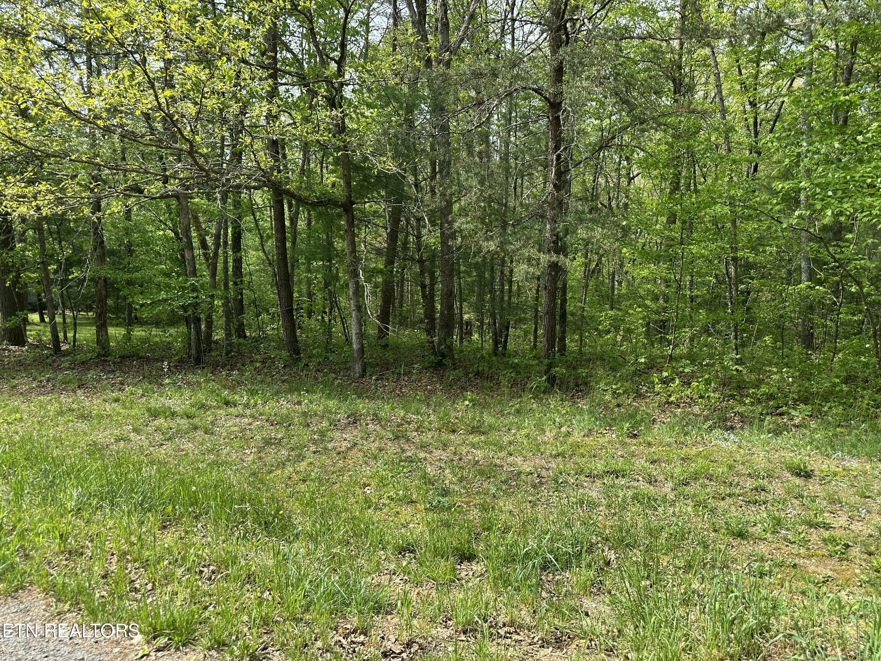 Property Photo:  118 Tawny Oak Loop  TN 38558 