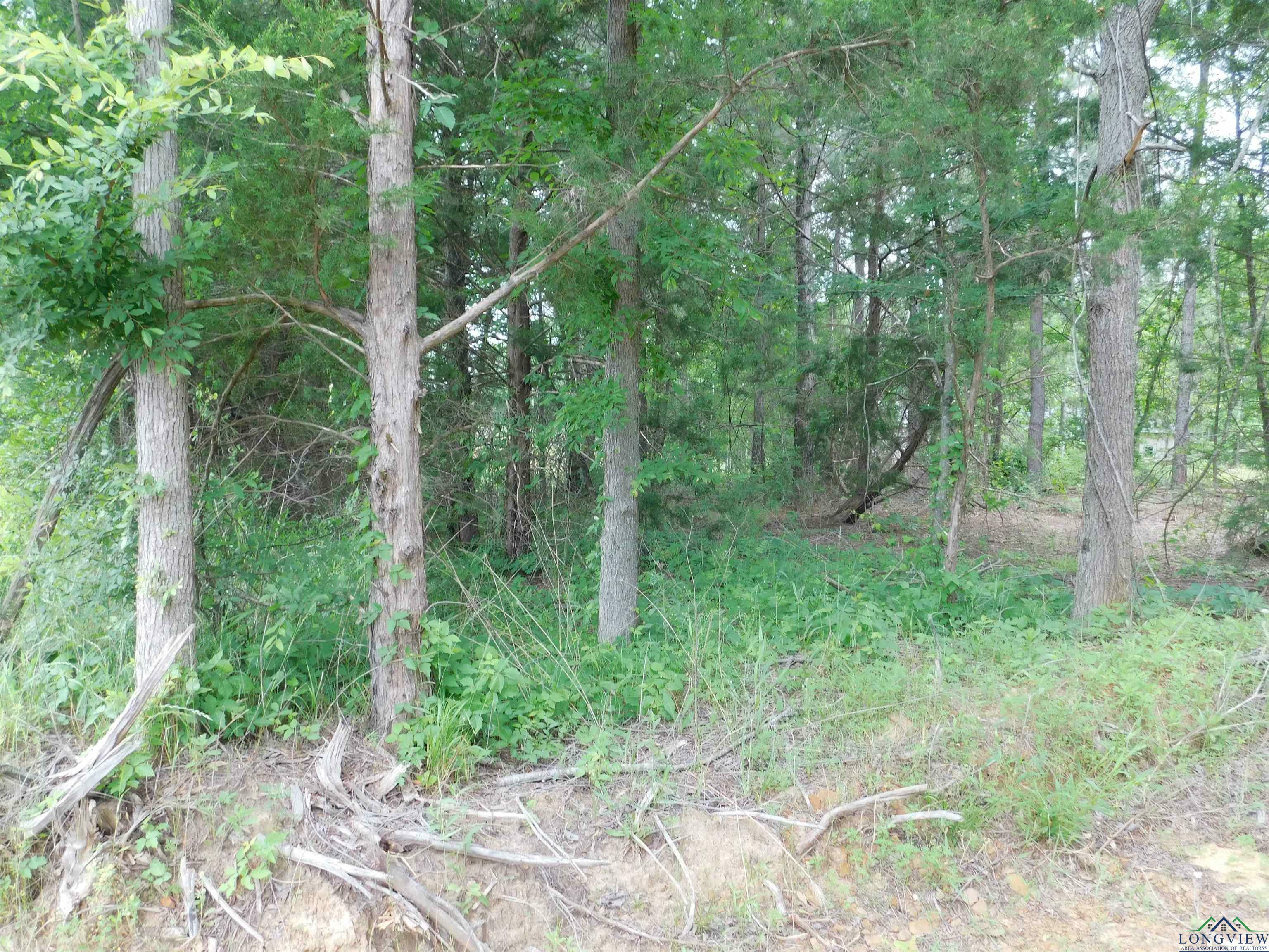 Property Photo: Tbd Groundhog Rd TX 75644
