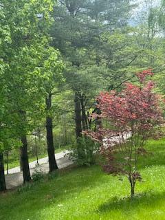 Property Photo: 4415 State Hwy 522 KY 40865