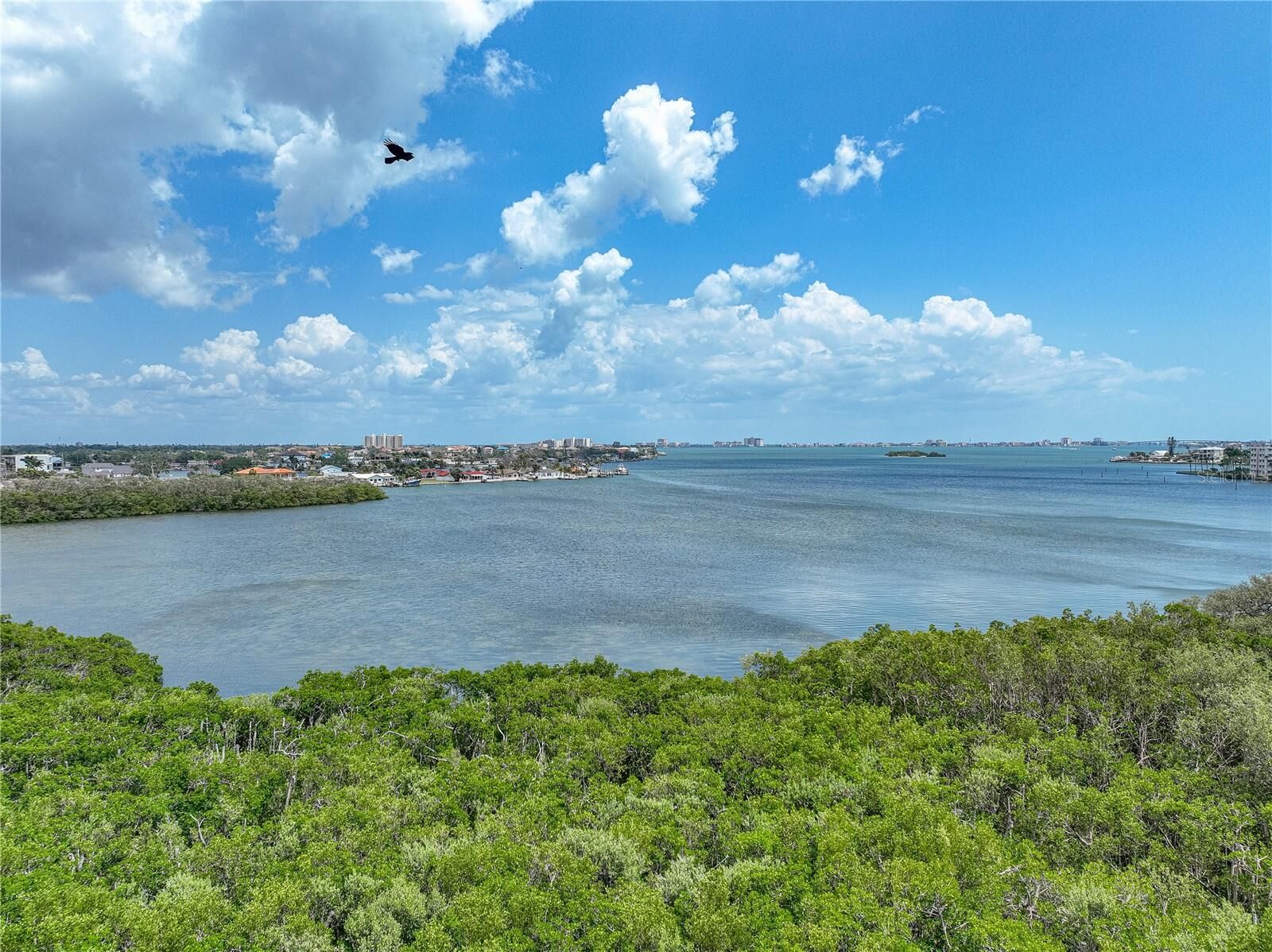 Property Photo: 1332 Pasadena Avenue S 503 FL 33707