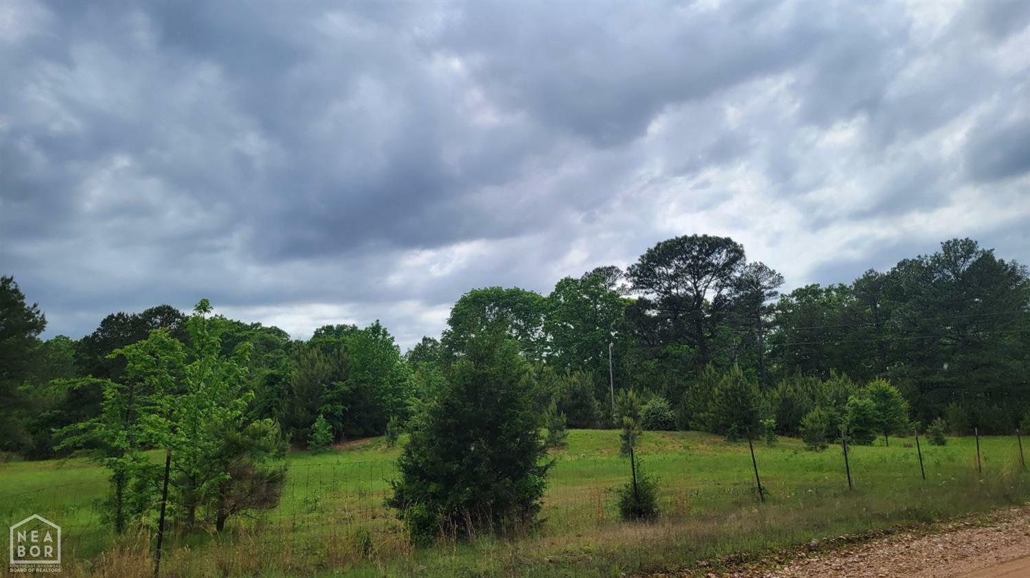 Property Photo: 449 Cr 772 AR 72405
