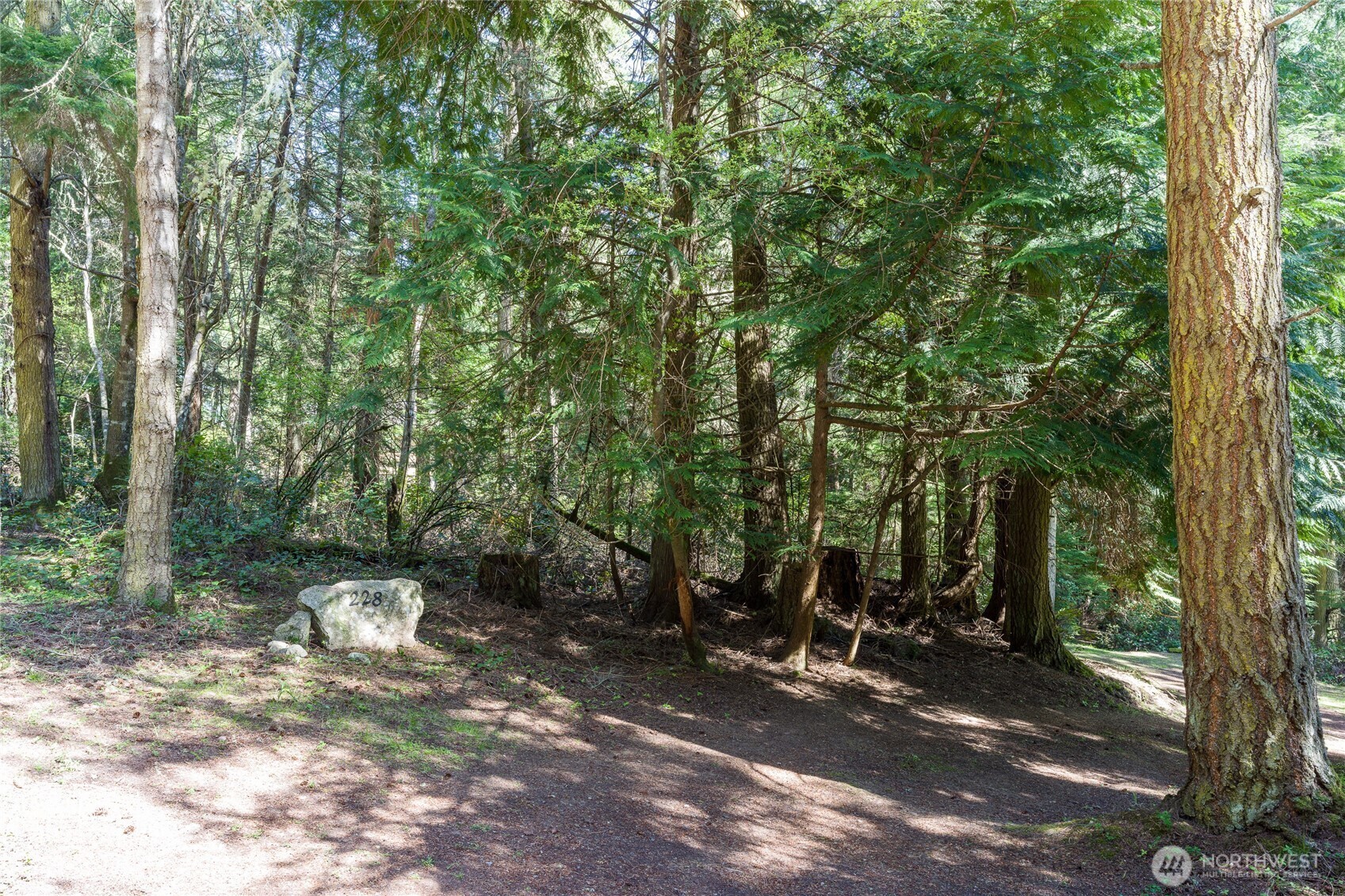 228  Hilltop Way  Lopez Island WA 98261 photo