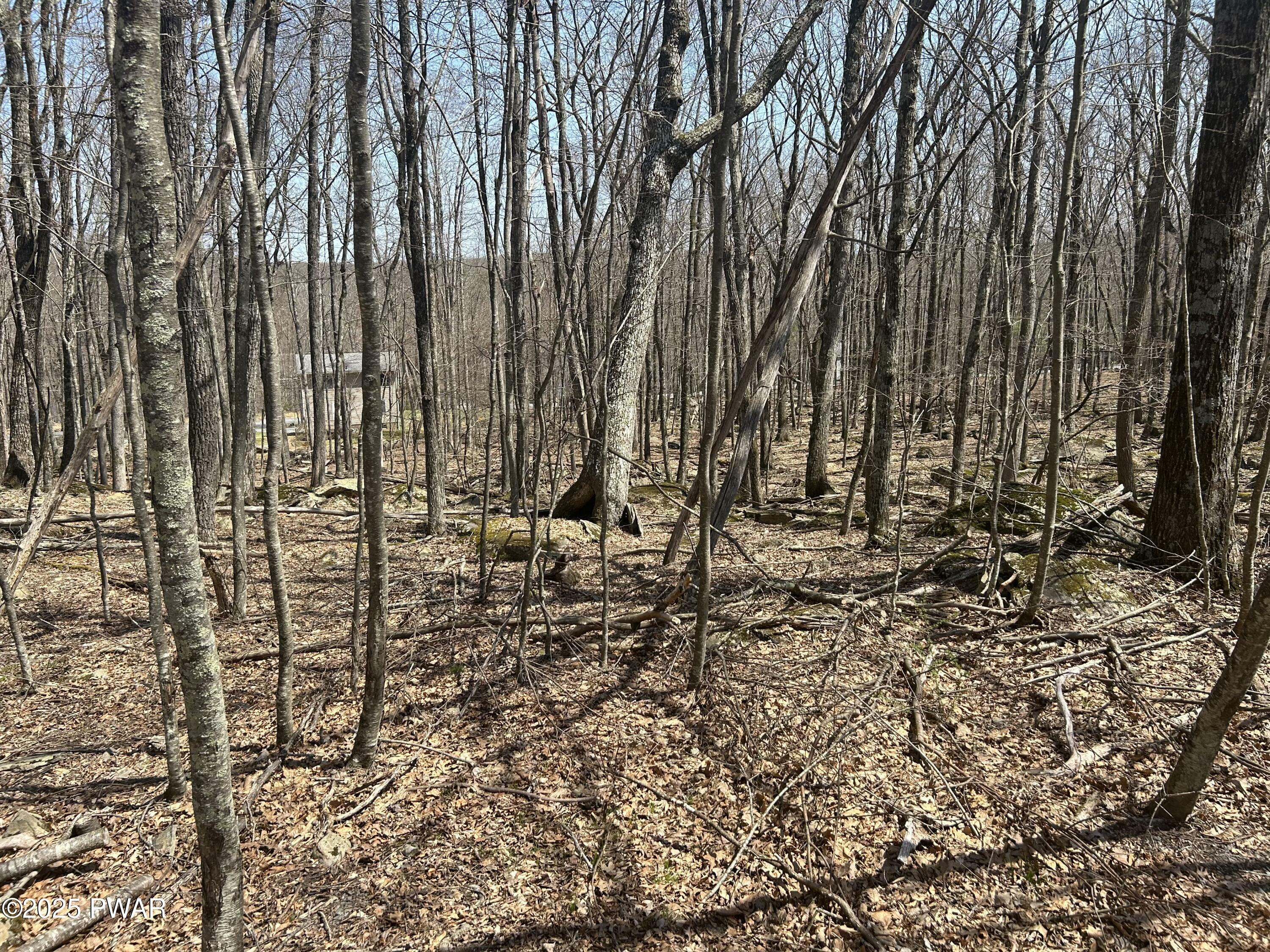 Property Photo: 130 Laurel Circle PA 18428