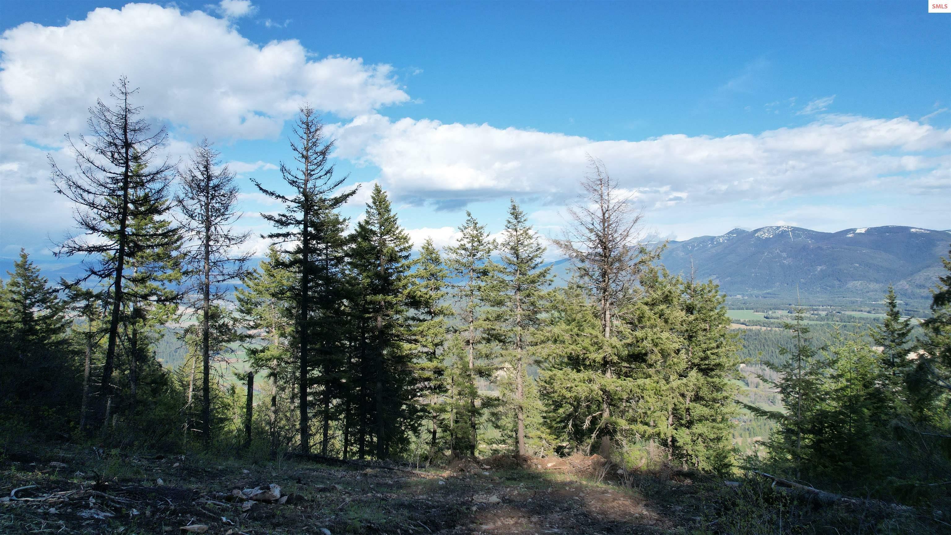 Property Photo:  Nna 20 Acres Juniper Ln  ID 83847 